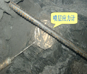 118论坛资料网
