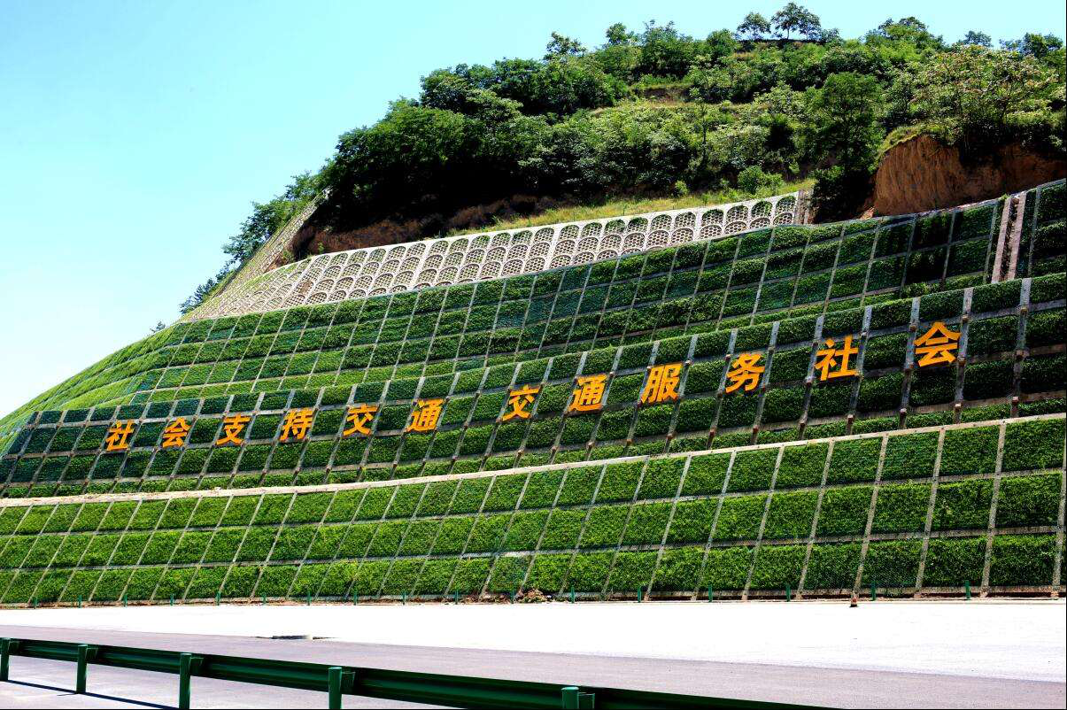 118论坛资料网