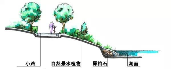 118论坛资料网