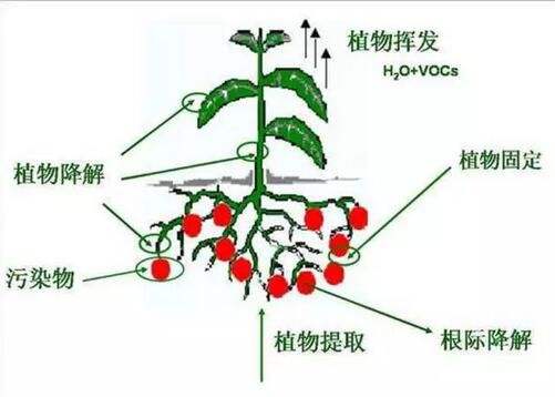 118论坛资料网