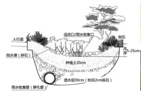118论坛资料网