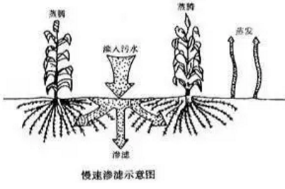 118论坛资料网