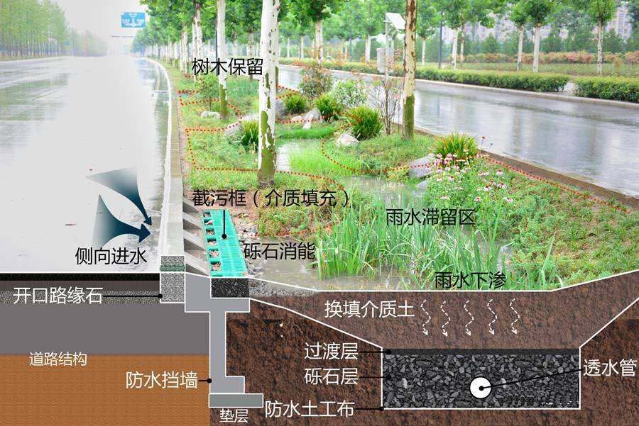 118论坛资料网
