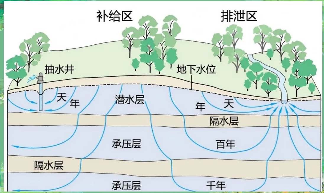 118论坛资料网
